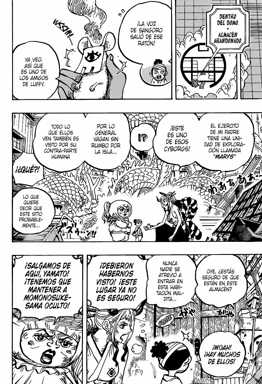 One Piece Capitulo 1005 página 13