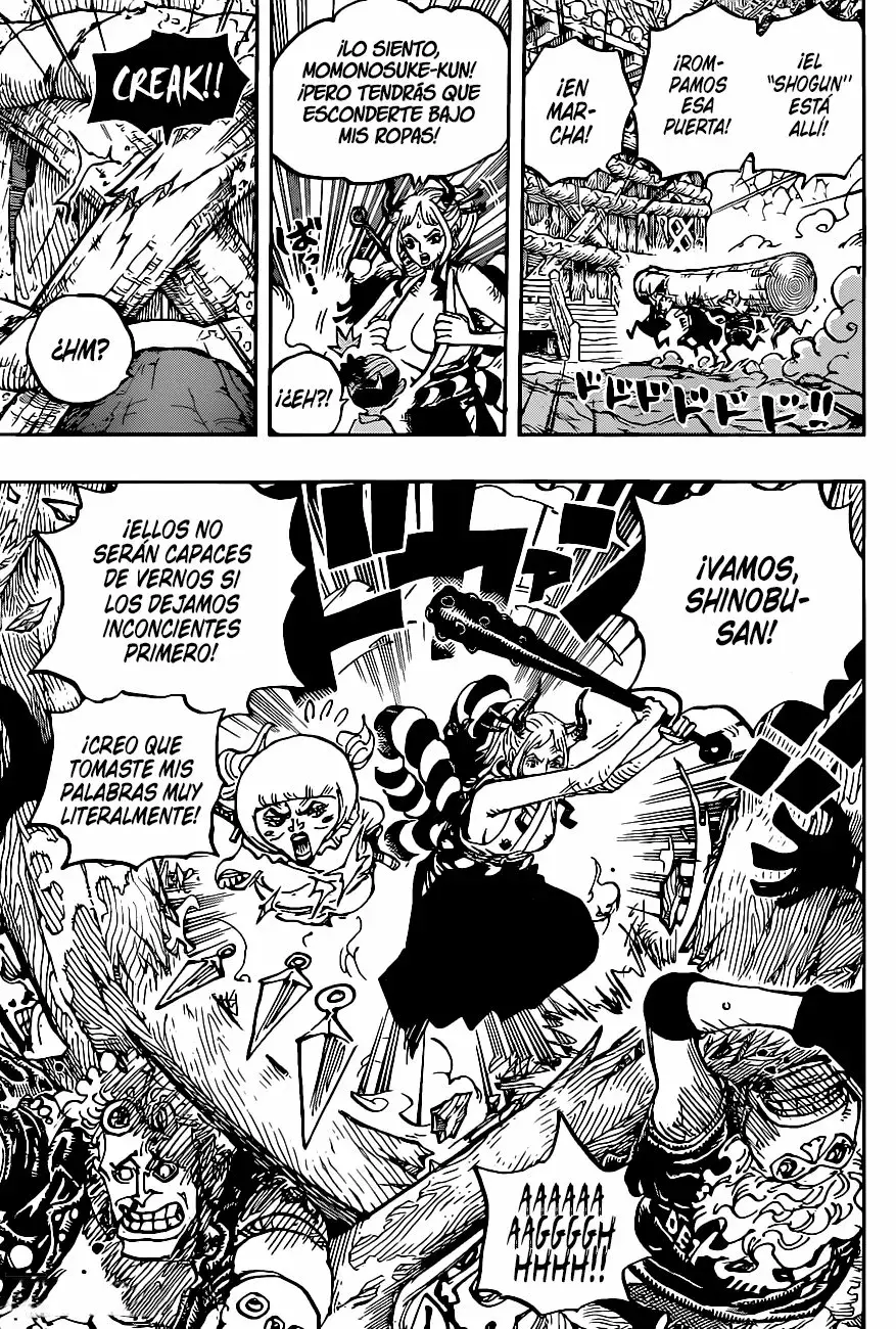 One Piece Capitulo 1005 página 14