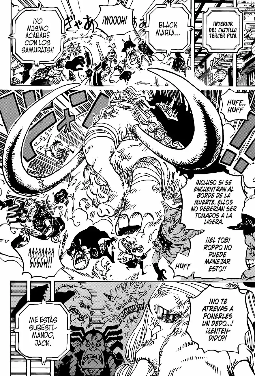 One Piece Capitulo 1005 página 15