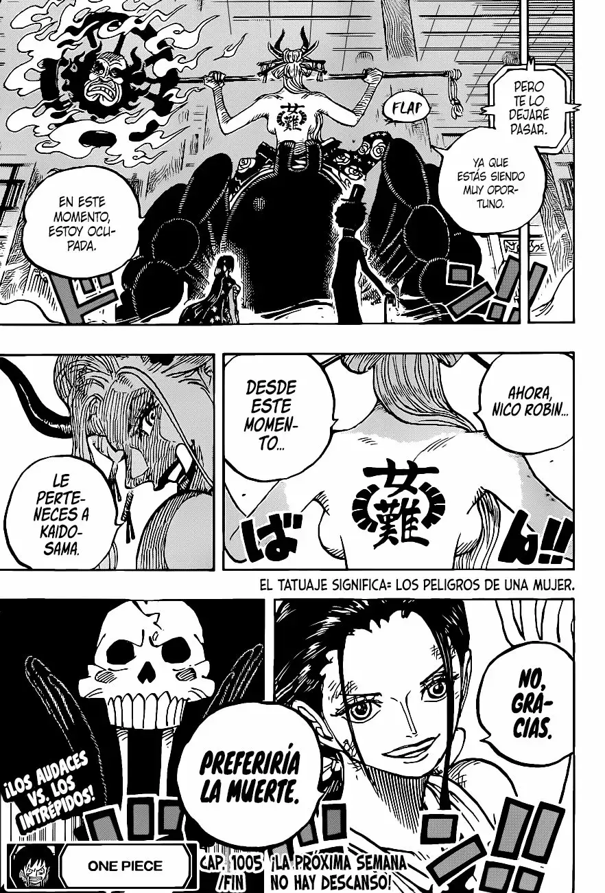 One Piece Capitulo 1005 página 16