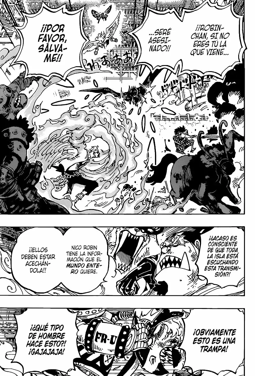 One Piece Capitulo 1005 página 7