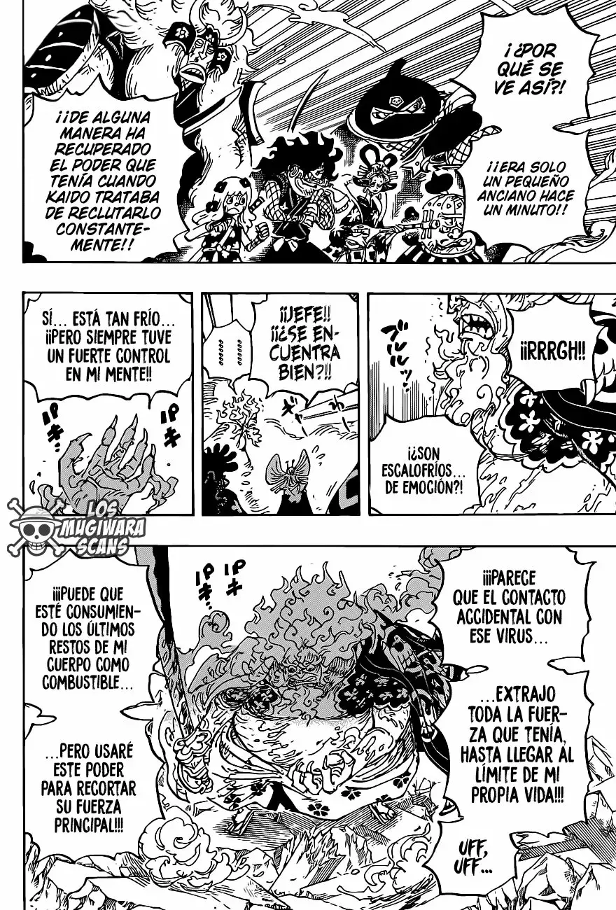 One Piece Capitulo 1006.5 página 11