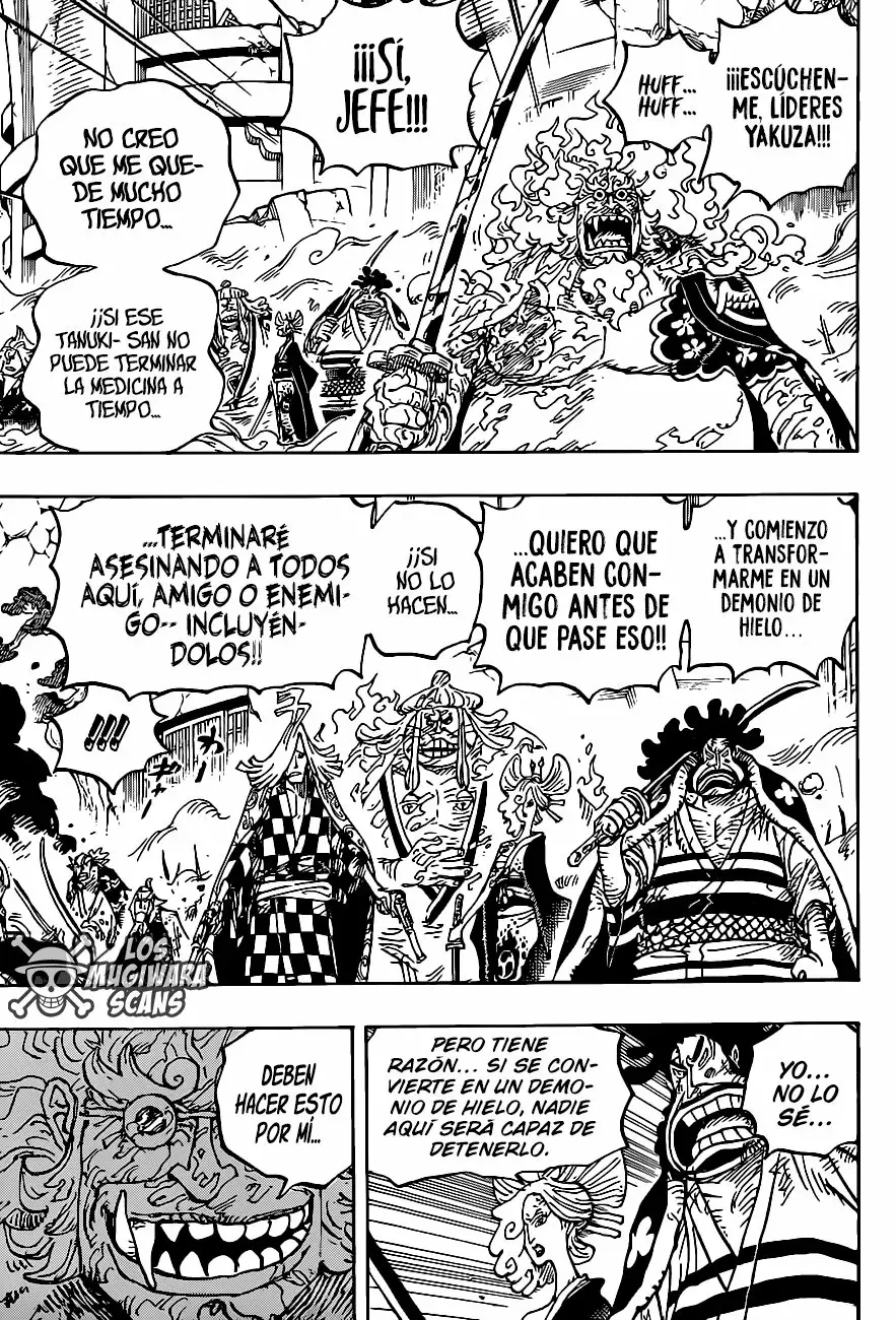 One Piece Capitulo 1006.5 página 12