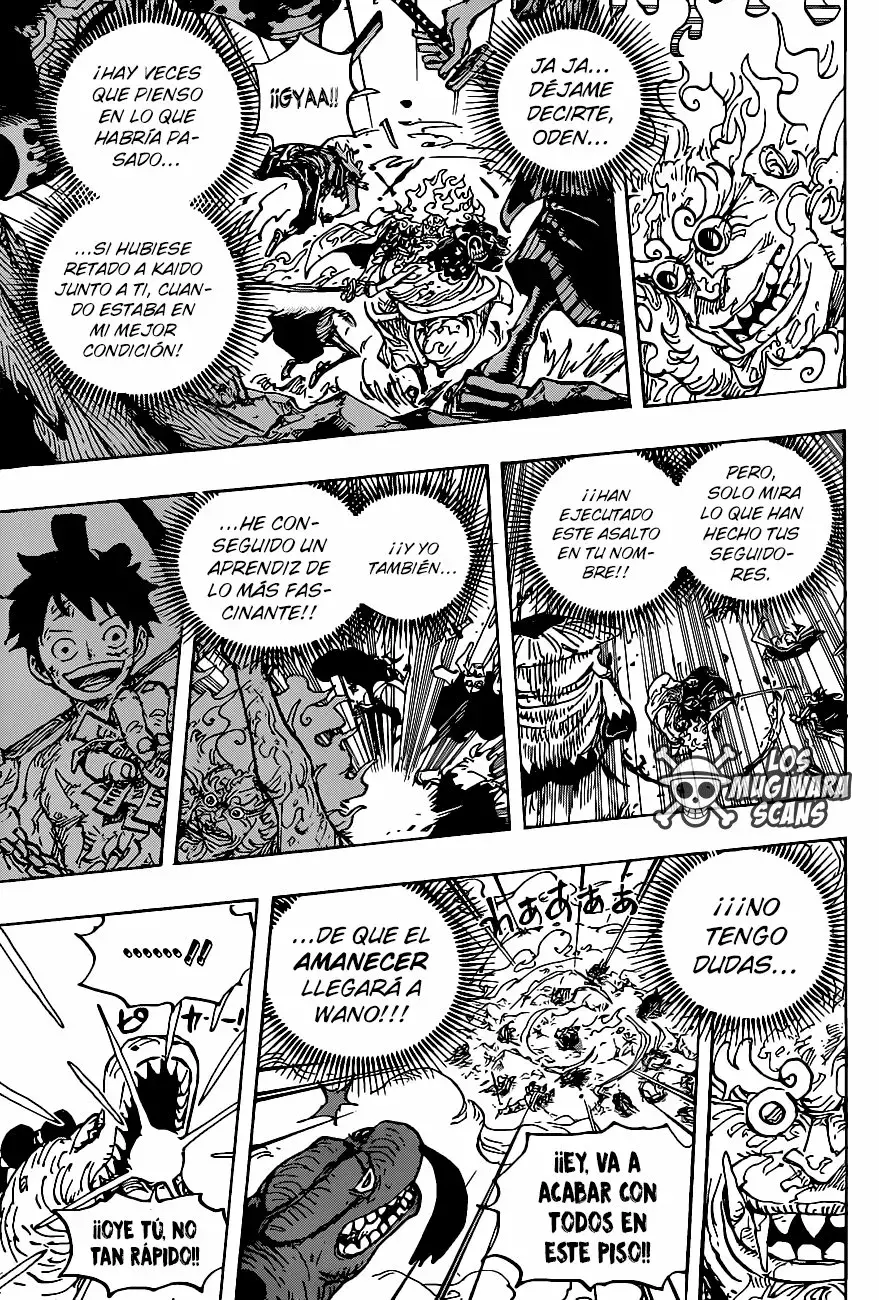 One Piece Capitulo 1006.5 página 14