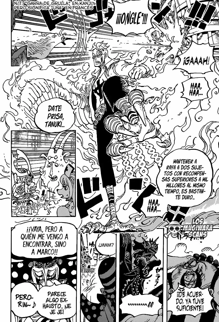 One Piece Capitulo 1006.5 página 19