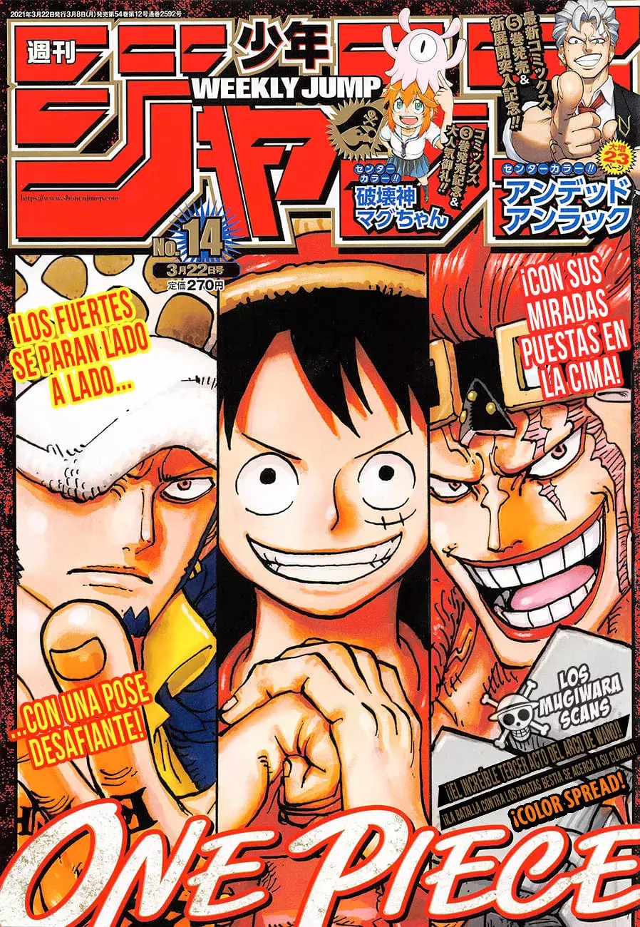 One Piece Capitulo 1006.5 página 3