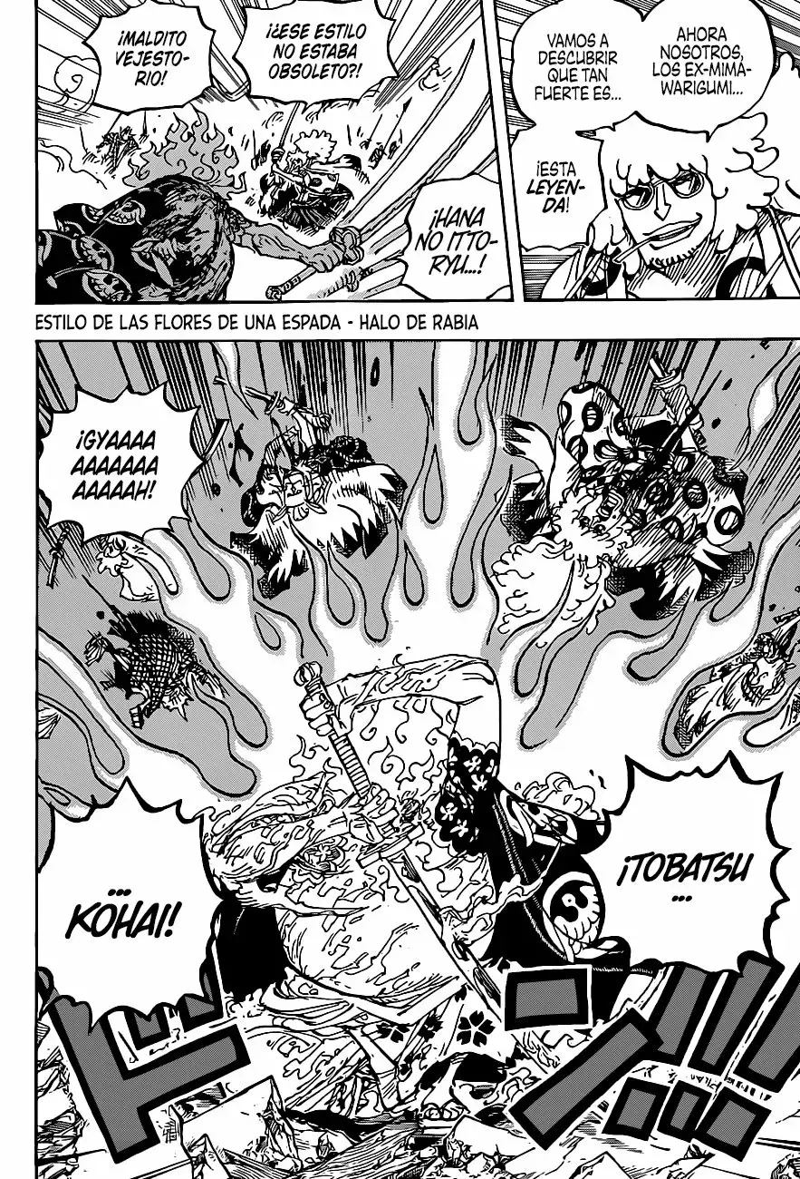 One Piece Capitulo 1006 página 10