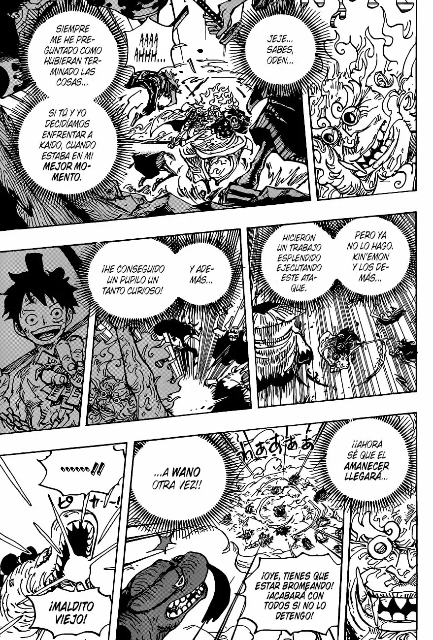One Piece Capitulo 1006 página 11