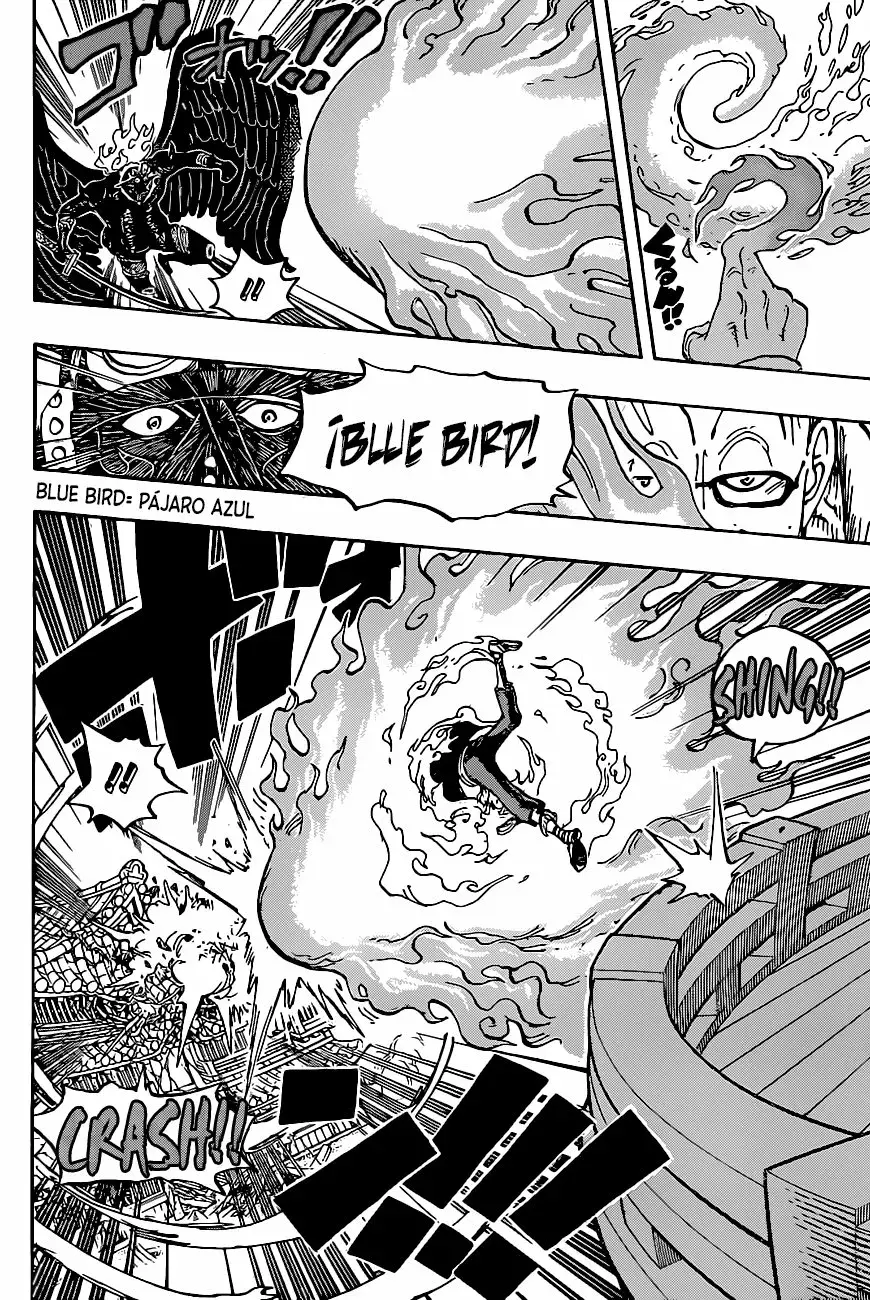 One Piece Capitulo 1006 página 14