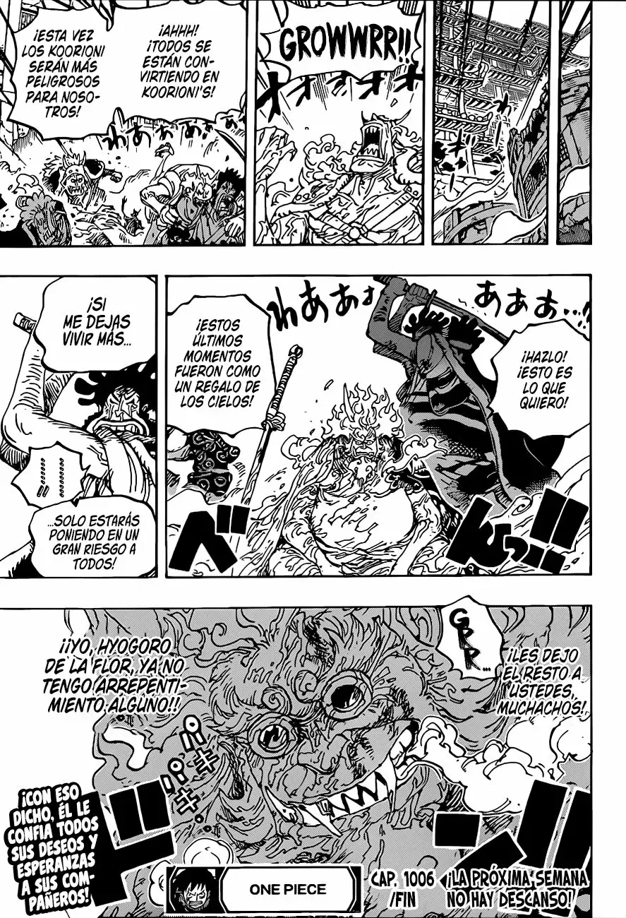 One Piece Capitulo 1006 página 17