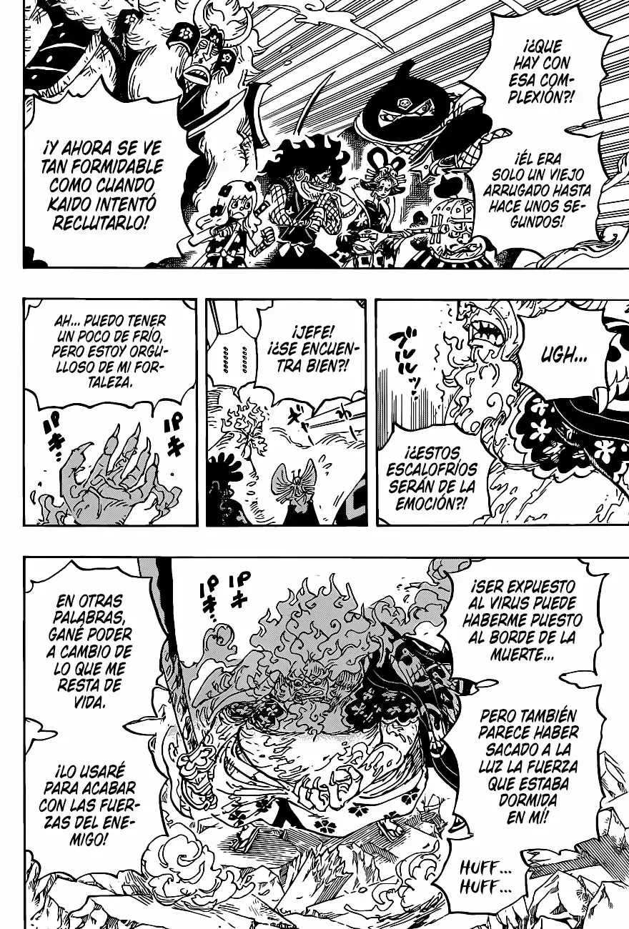 One Piece Capitulo 1006 página 8
