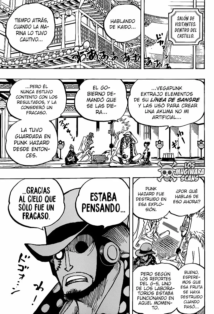 One Piece Capitulo 1007.5 página 15
