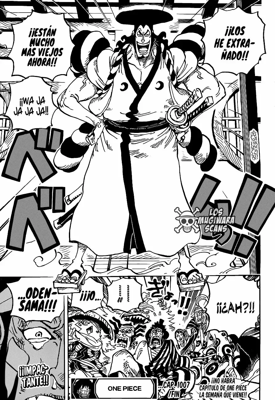 One Piece Capitulo 1007.5 página 17