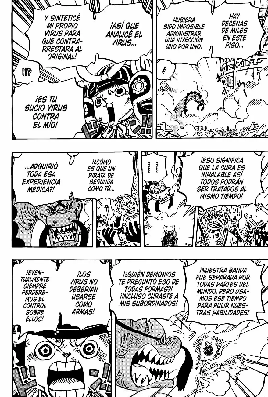 One Piece Capitulo 1007: Tanuki-san página 10