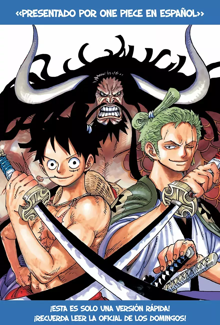 One Piece Capitulo 1007: Tanuki-san página 17