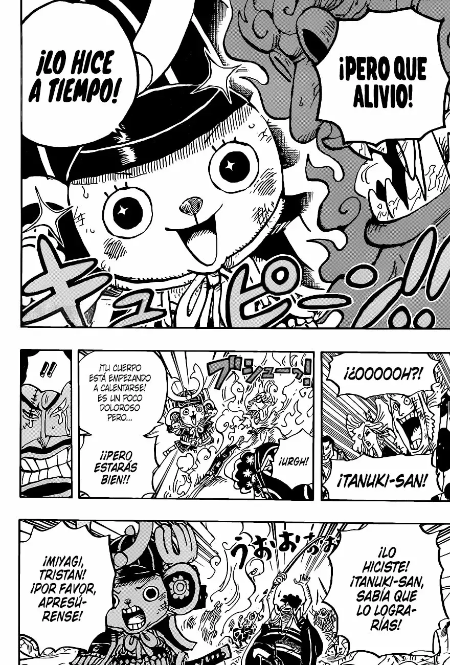 One Piece Capitulo 1007: Tanuki-san página 8