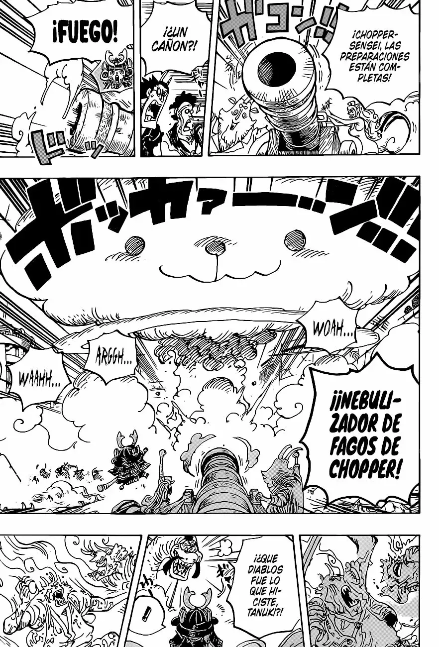 One Piece Capitulo 1007: Tanuki-san página 9