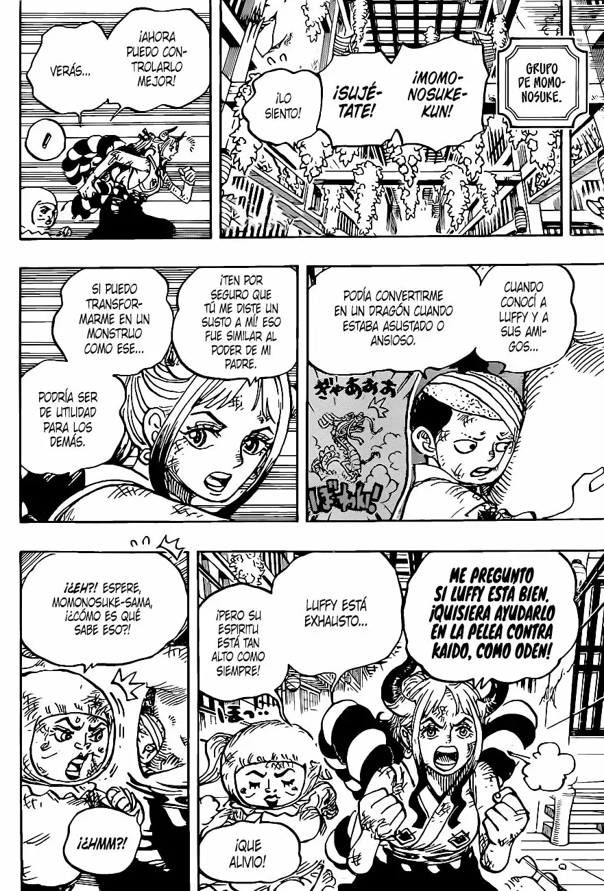 One Piece Capitulo 1008 página 14