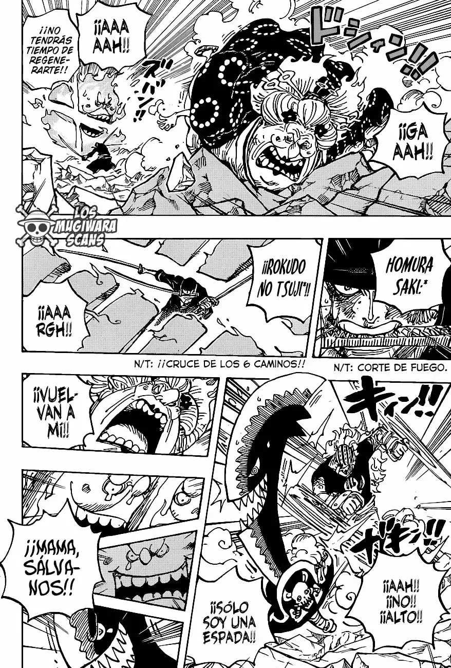 One Piece Capitulo 1009.5 página 15