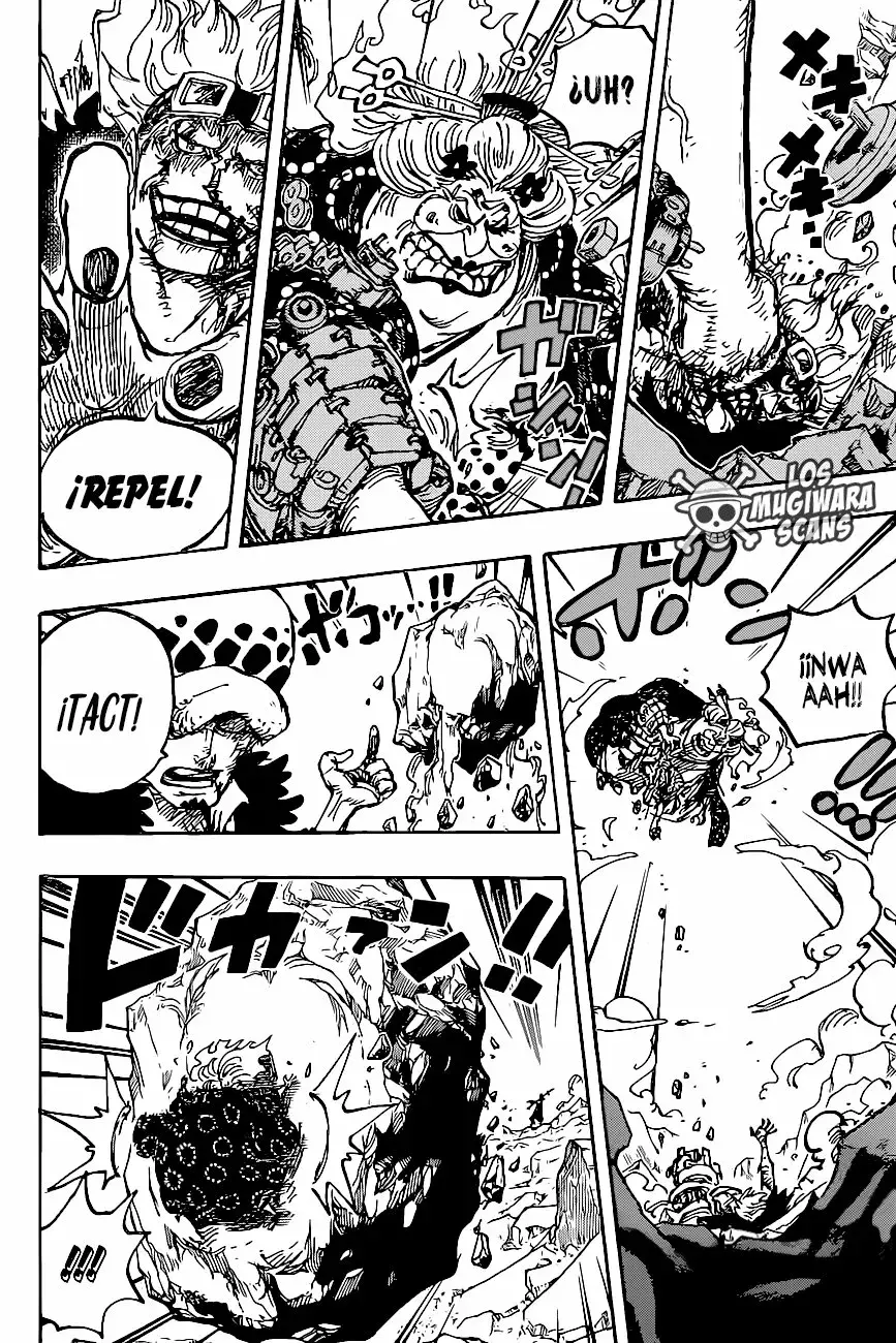 One Piece Capitulo 1009.5 página 17