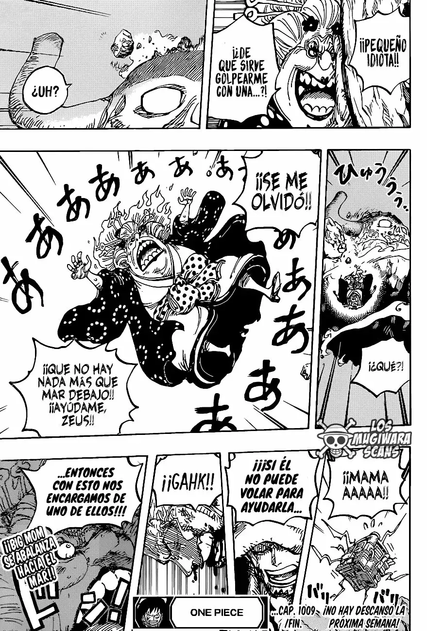 One Piece Capitulo 1009.5 página 18