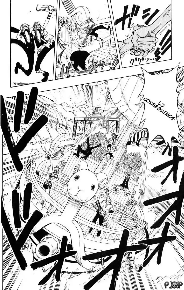 One Piece Capitulo 101 página 17