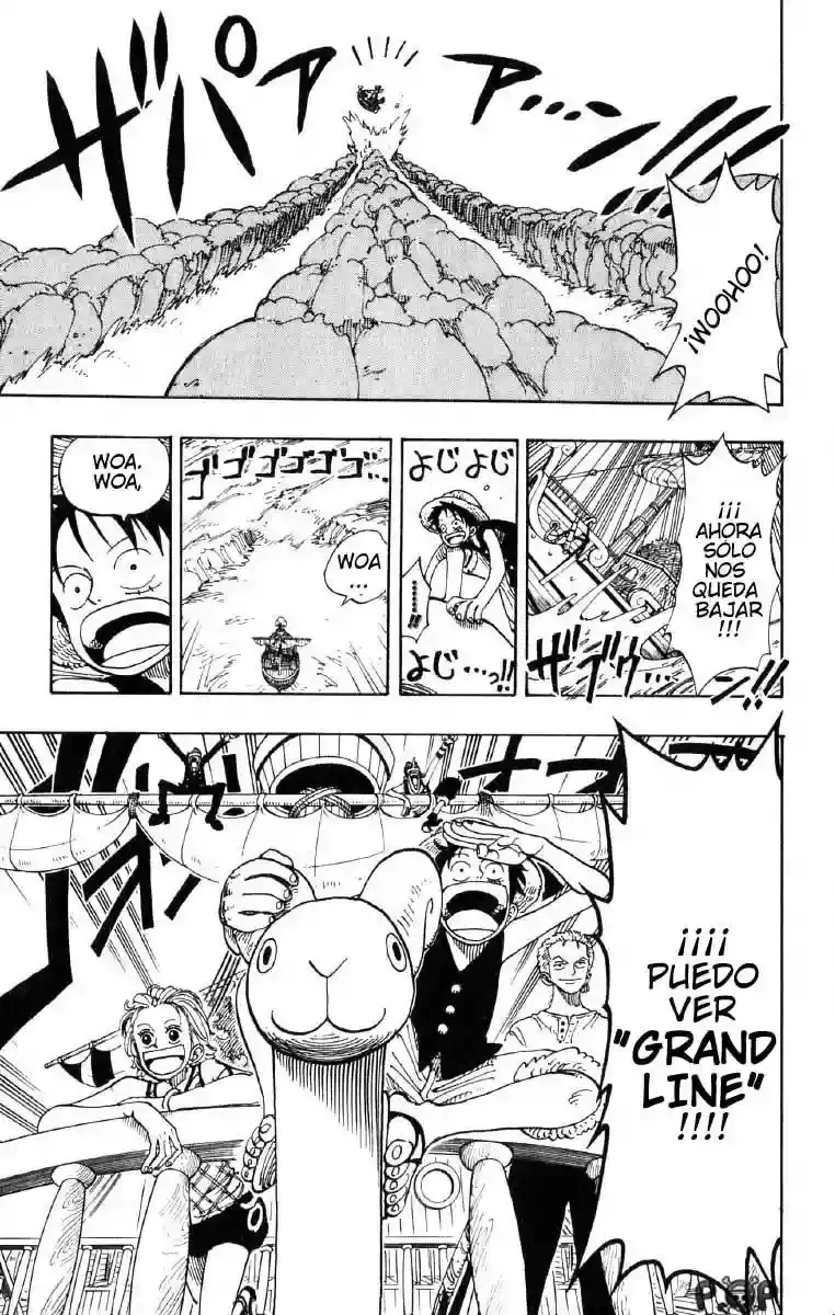 One Piece Capitulo 101 página 18