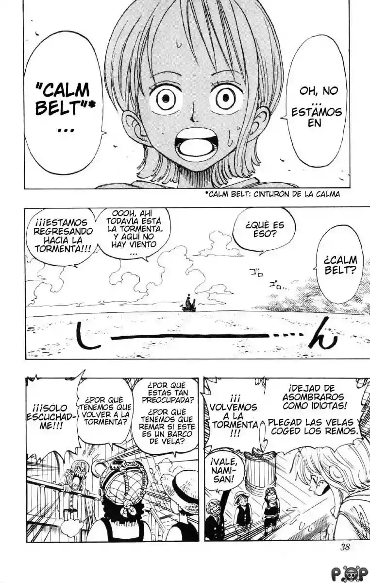 One Piece Capitulo 101 página 6