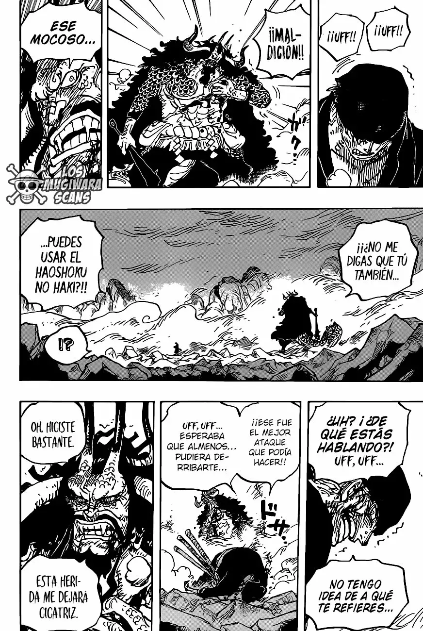 One Piece Capitulo 1010.5 página 10