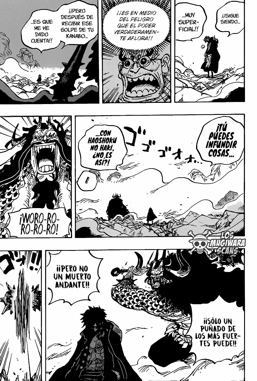 One Piece Capitulo 1010.5 página 13