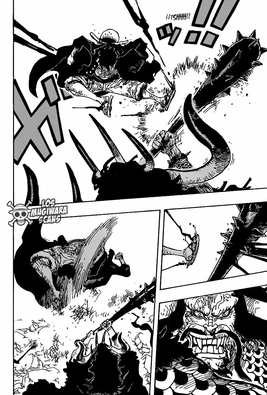 One Piece Capitulo 1010.5 página 14
