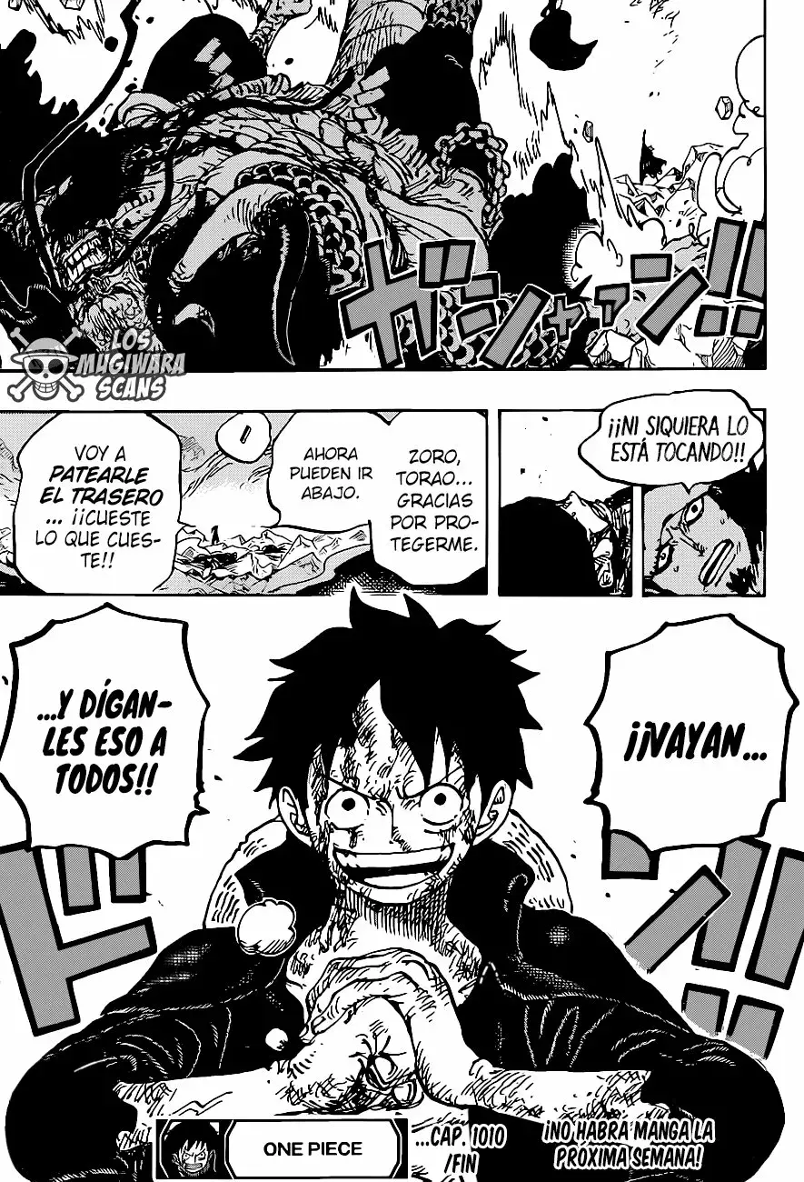 One Piece Capitulo 1010.5 página 17
