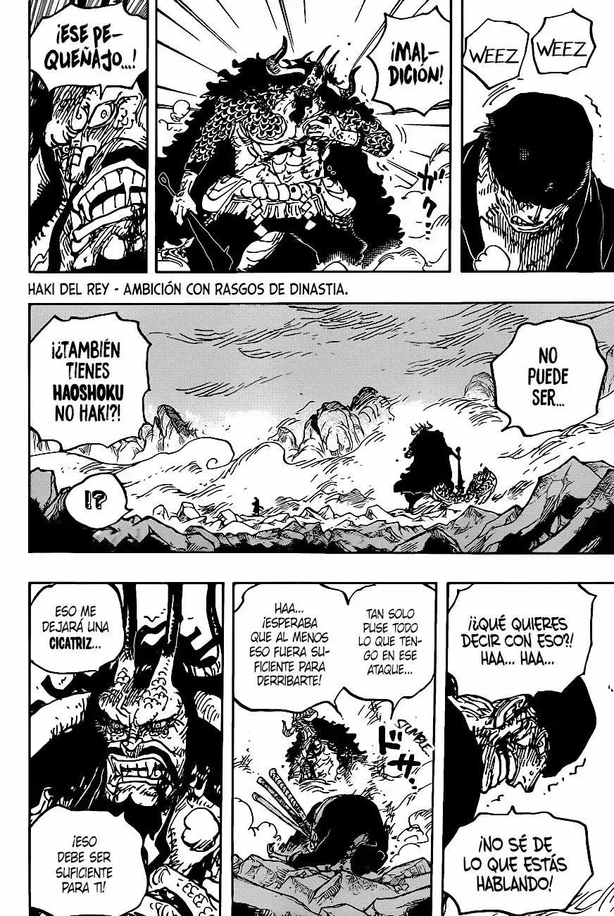 One Piece Capitulo 1010 página 10