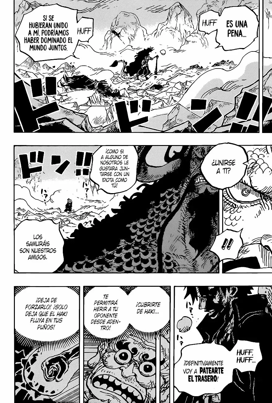 One Piece Capitulo 1010 página 12
