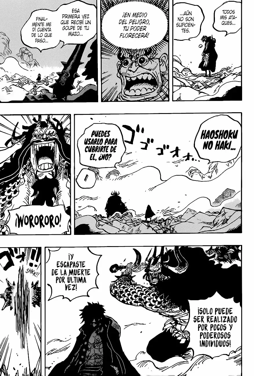 One Piece Capitulo 1010 página 13