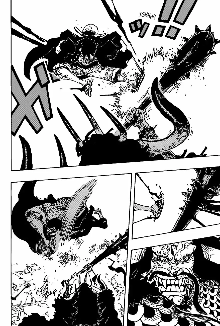 One Piece Capitulo 1010 página 14