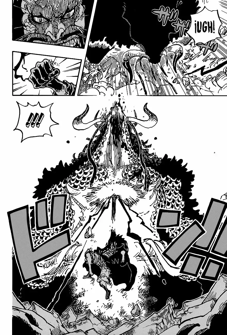 One Piece Capitulo 1010 página 18