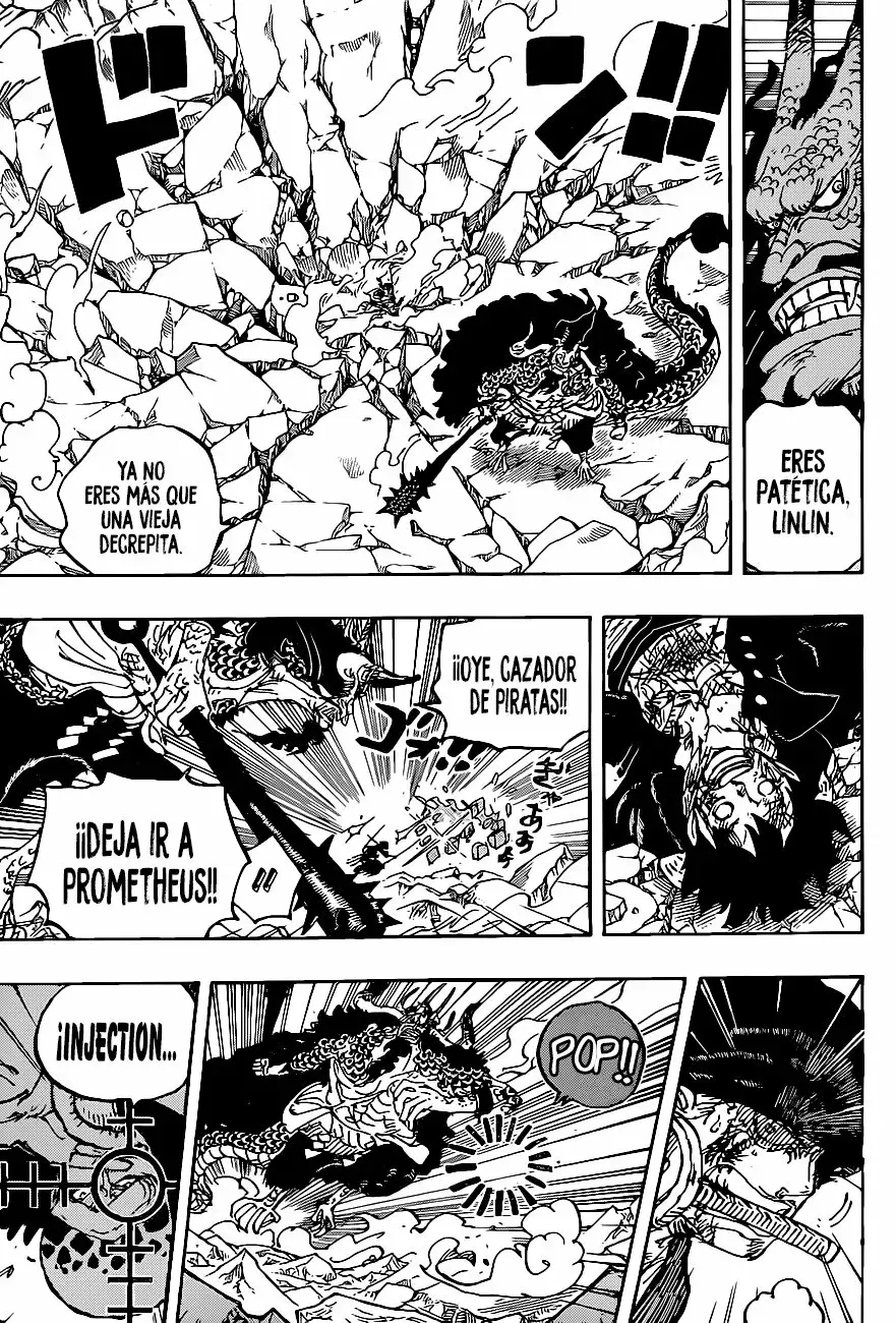 One Piece Capitulo 1010 página 3