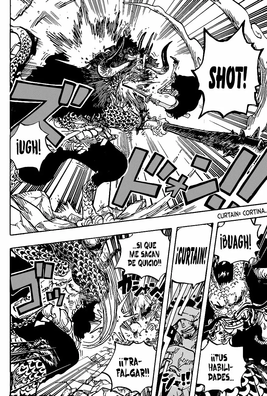 One Piece Capitulo 1010 página 4