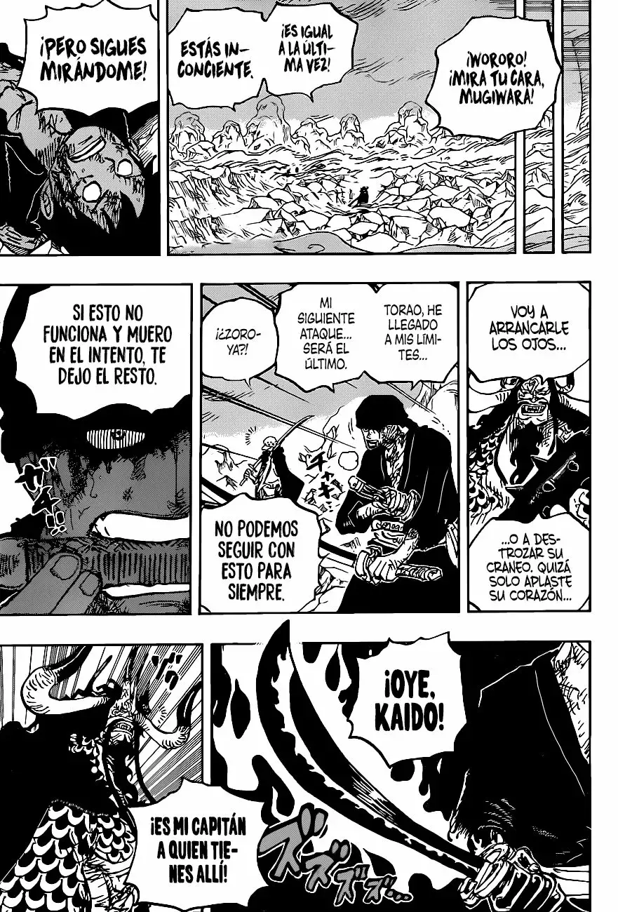 One Piece Capitulo 1010 página 7