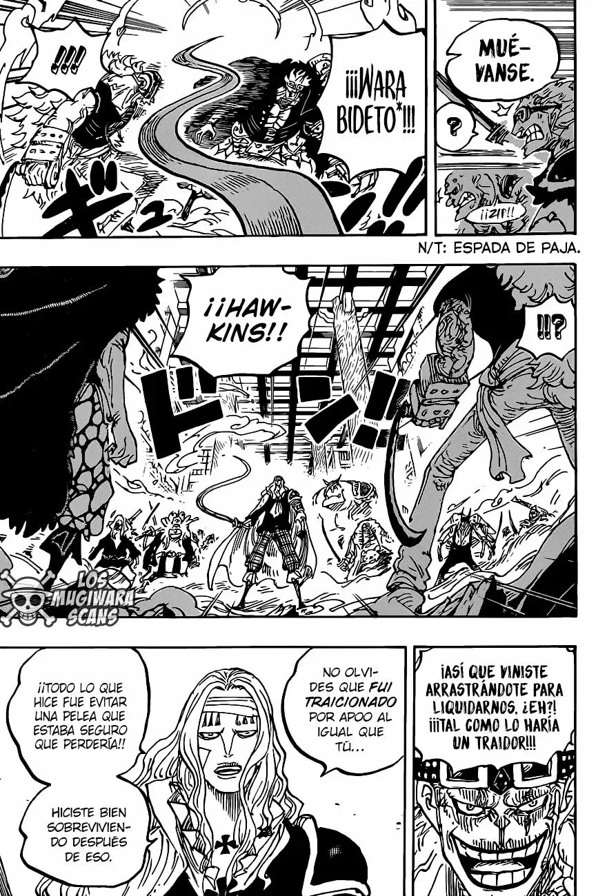 One Piece Capitulo 1011.5 página 10