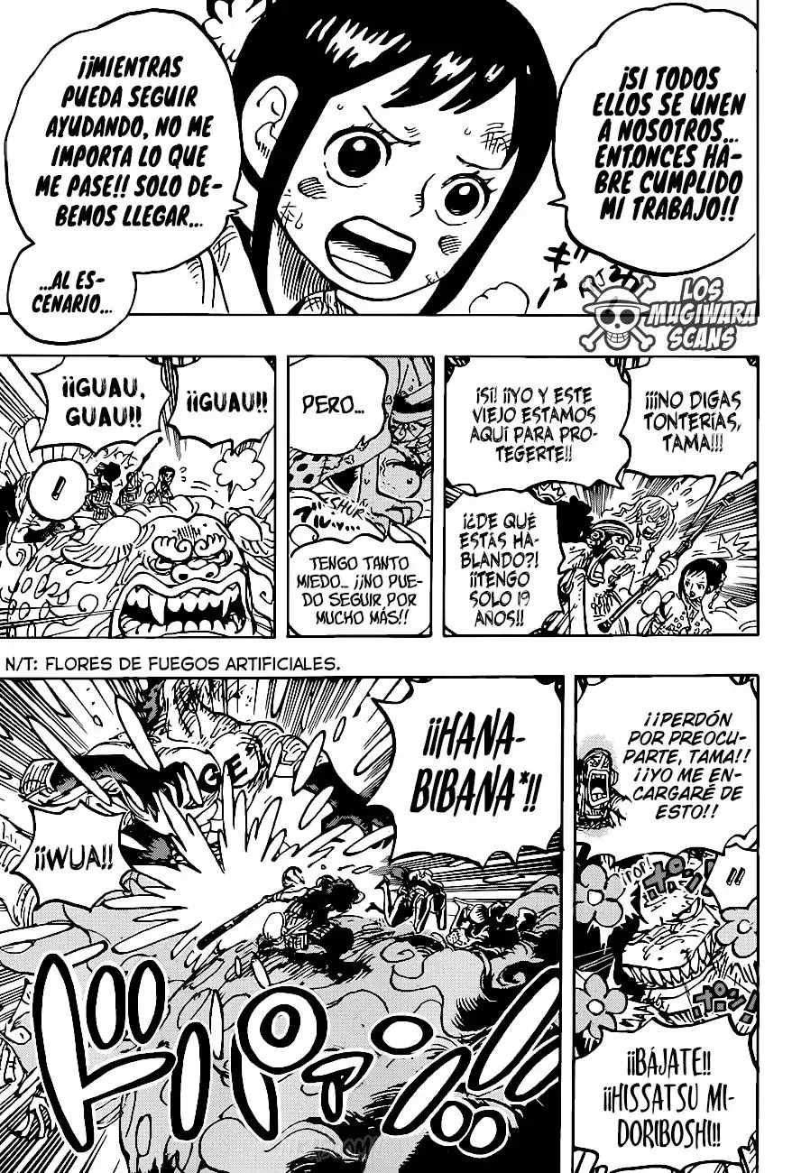 One Piece Capitulo 1011.5 página 14
