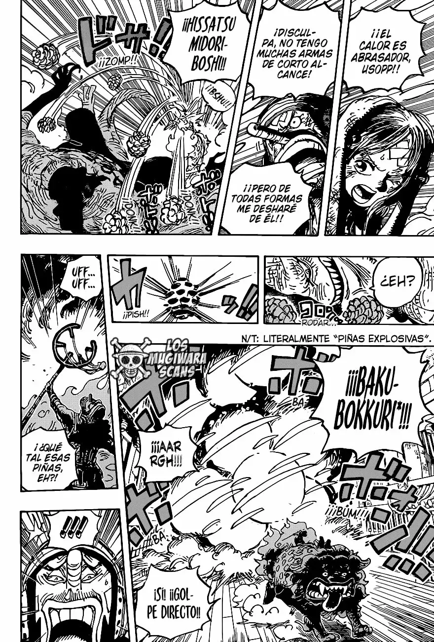 One Piece Capitulo 1011.5 página 15