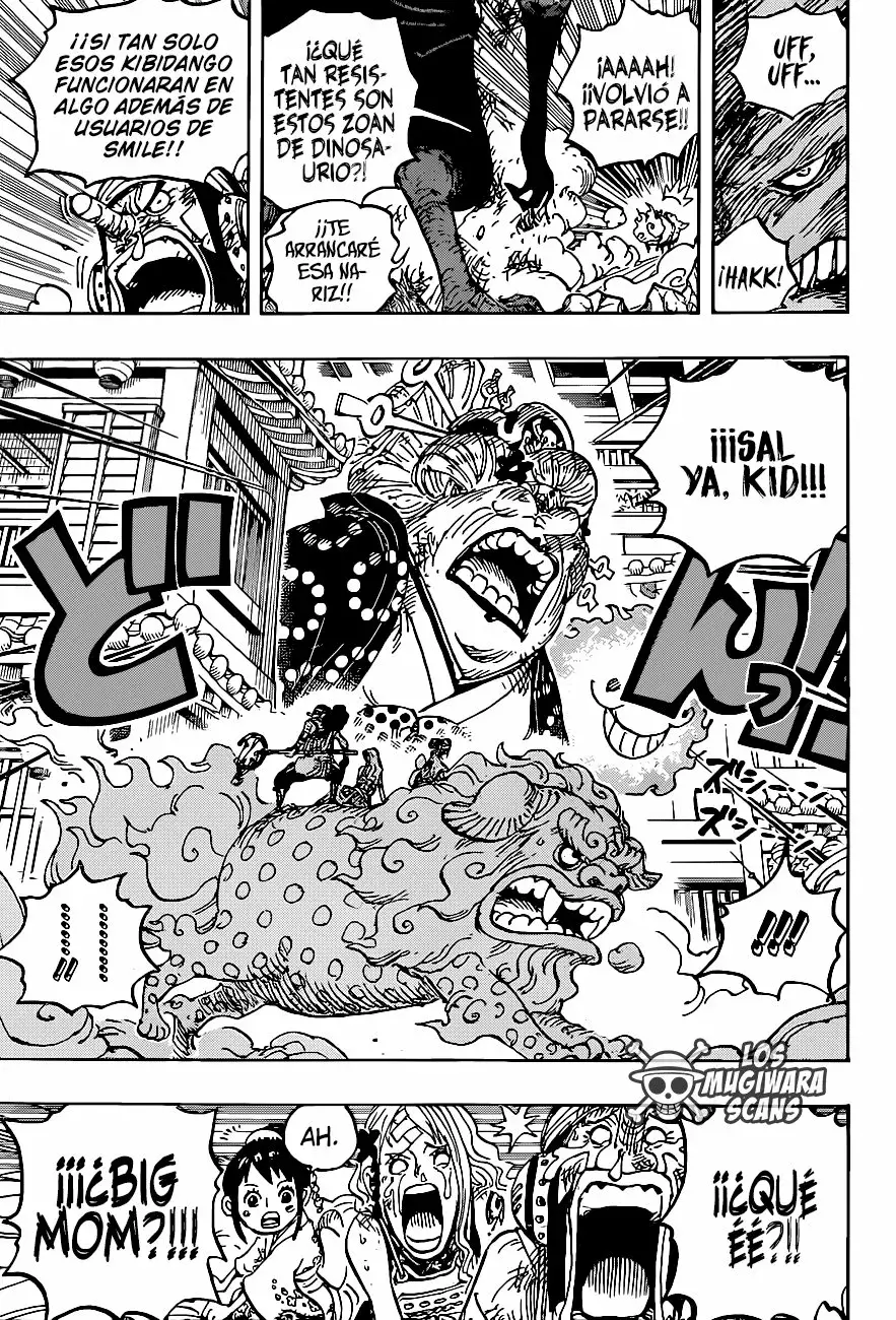 One Piece Capitulo 1011.5 página 16