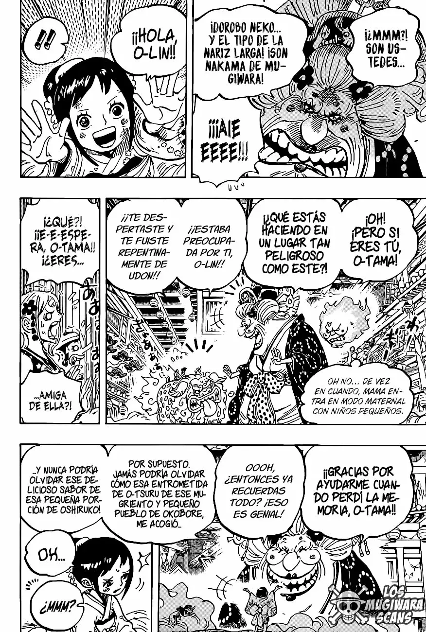 One Piece Capitulo 1011.5 página 17