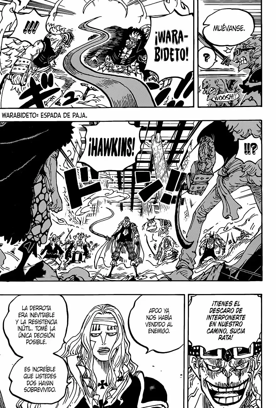 One Piece Capitulo 1011 página 11