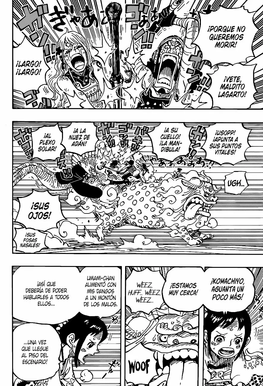 One Piece Capitulo 1011 página 14
