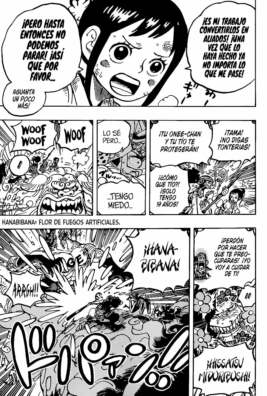 One Piece Capitulo 1011 página 15