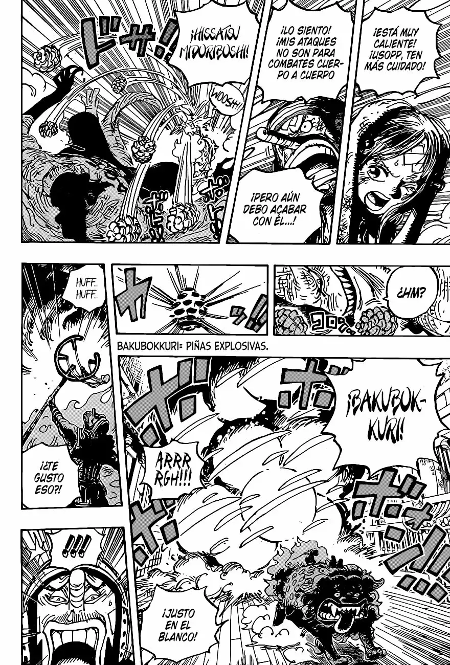 One Piece Capitulo 1011 página 16