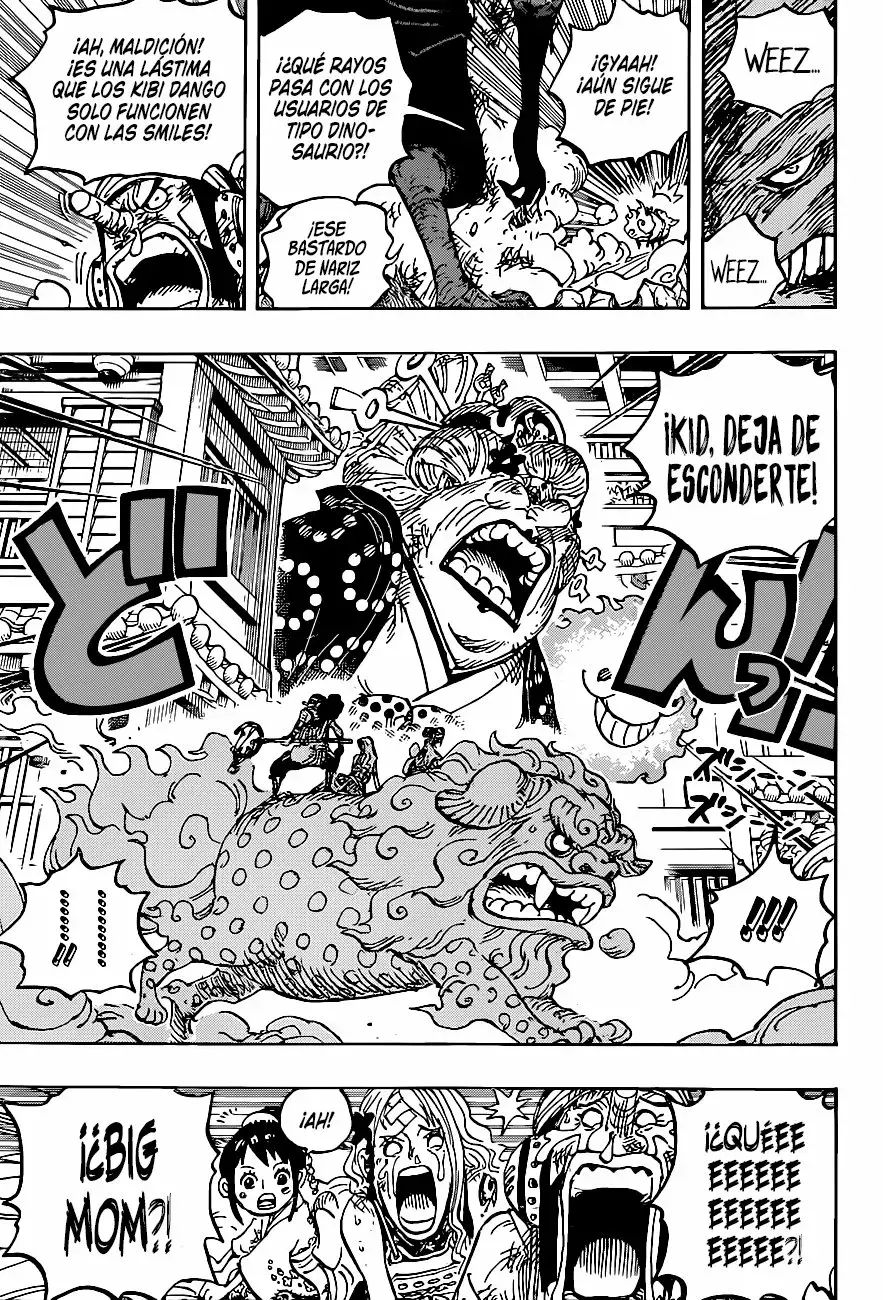 One Piece Capitulo 1011 página 17